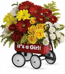 Baby's Wow Wagon - Girl from Flowers by Ramon of Lawton, OK
